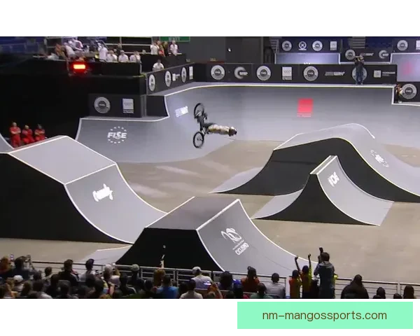 BMX数据分析:揭示极限运动趋势与绩效核心 BMX数据分析:揭示极限运动趋势与绩效核心