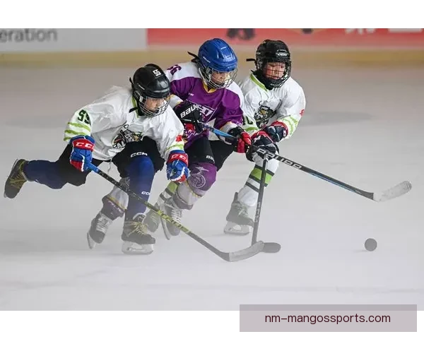 冰球冠军奋勇争霸，绽放荣耀之花