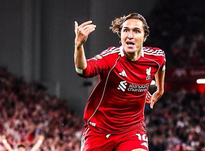 又看到了机, dingy, cd