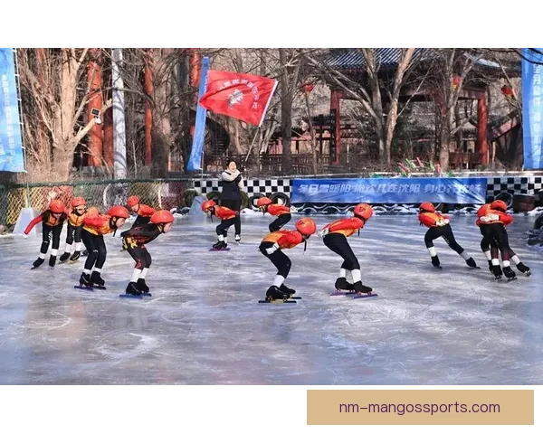 优雅飞速：掌握滑冰技巧，畅享冰上风采