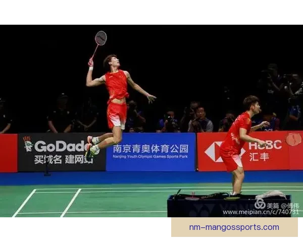 世界羽毛球锦标赛：飞羽争冠，挑战世界霸主