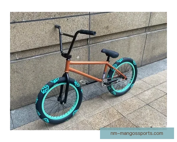 BMX排名大揭秘：颠覆传统，揭示背后真相