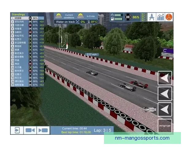 全面解析F1赛车技术与战术视频教学