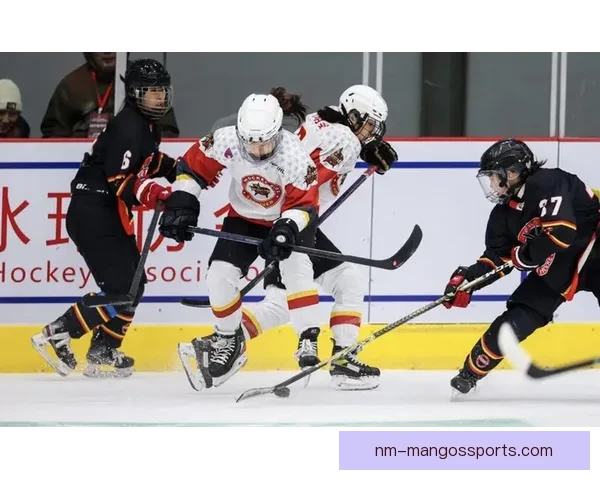 冰球热潮  精彩瞬间，战队争霸，谁将夺冠？