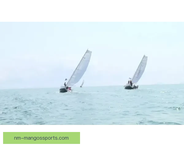 掀起阿mericas Cup帆船赛风浪