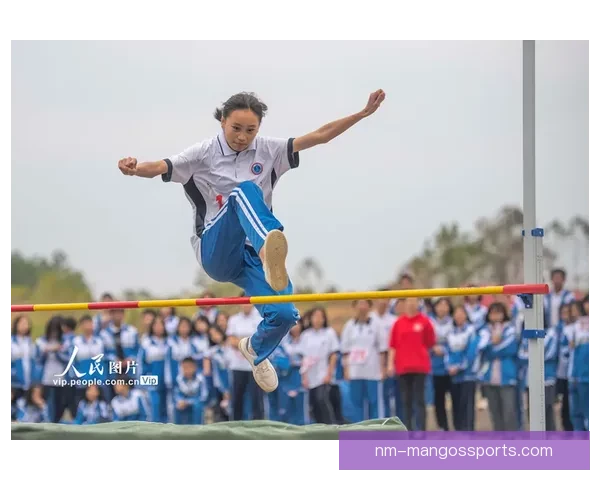 柔道训练法则：提升技艺实力，塑造强健体魄