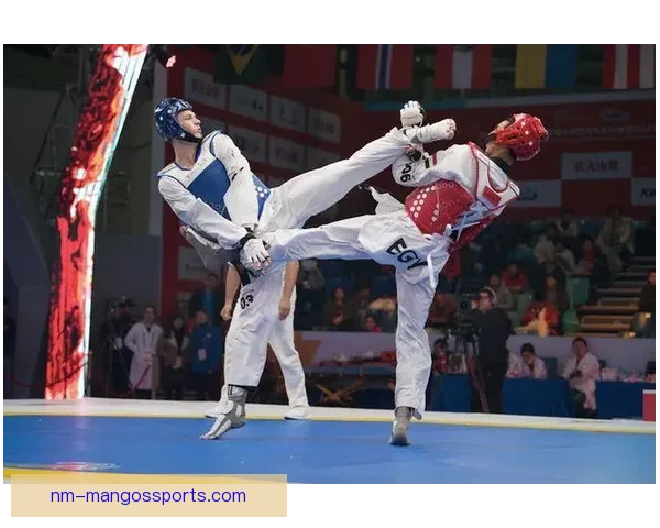 新激烈对决!跆拳道比赛决胜时刻引发高潮 新激烈对决!跆拳道比赛决胜时刻引发高潮