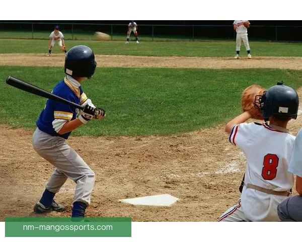 棒球世界排名:谁将夺得冠军宝座? 棒球世界排名:谁将夺得冠军宝座?