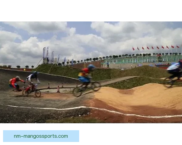 激情BMX赛场：闪耀之路赛事回顾