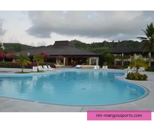 游泳对战分析：策略、技巧与优劣势建议