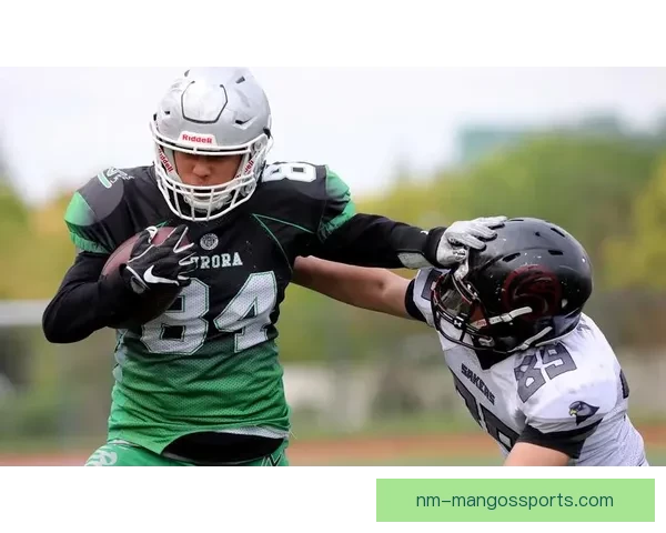 橄榄球联赛新风向：精彩比赛背后的故事揭秘