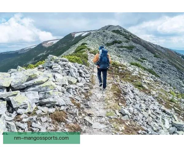 登山数据分析：挑战高峰，揭示登山者行为与趋势