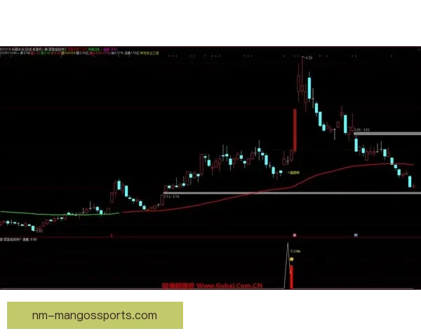 皮划艇投注技巧：解析胜率高的玩法策略