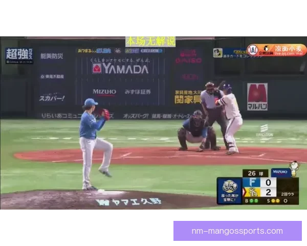 精彩棒球直播，捕捉每一瞬间