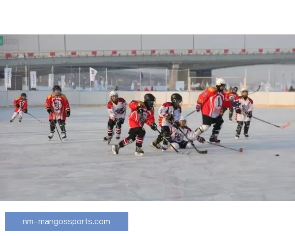 精彩对决！冰球邀请赛引爆热情