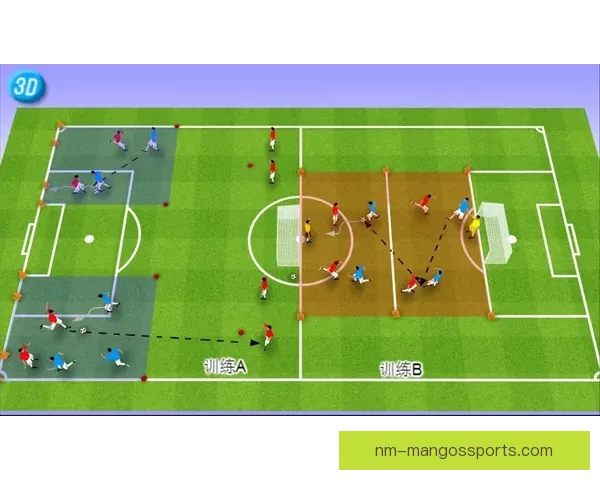 足球训练全方位解析：技术、战术、体能全面提升