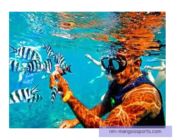 跳水魅力：深潜直播世界，感受飞鱼之美